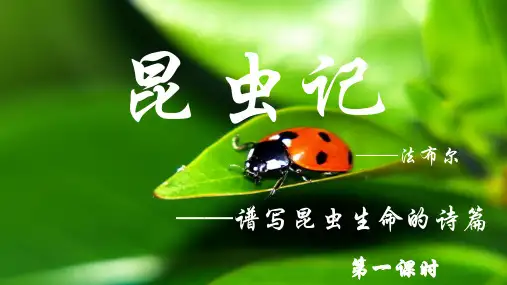 广东省河源市正德中学人教部编版八年级语文上册第五单元名著导读《昆虫记》课件 第一课时 (共21张PPT)