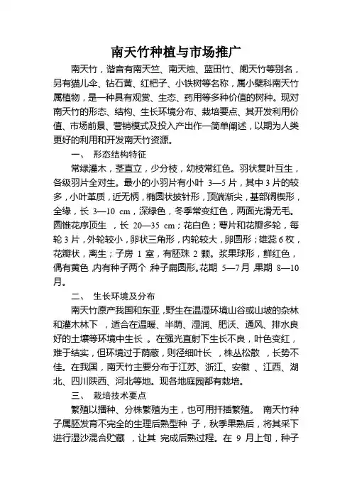 南天竹种植与市场推广