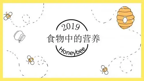 食物中的营养说课