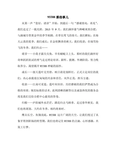 95588那些事儿