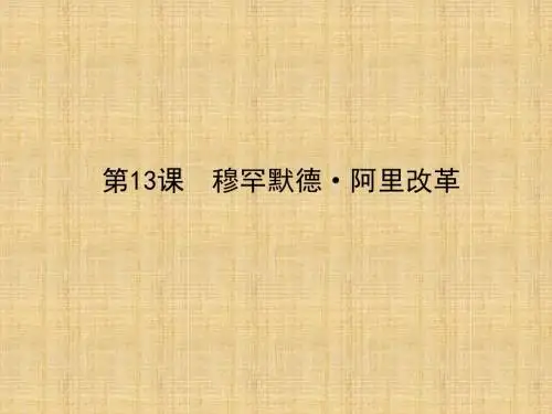 高中历史4. 13 穆罕默德阿里改革(名师优质课件 岳麓版选修一)