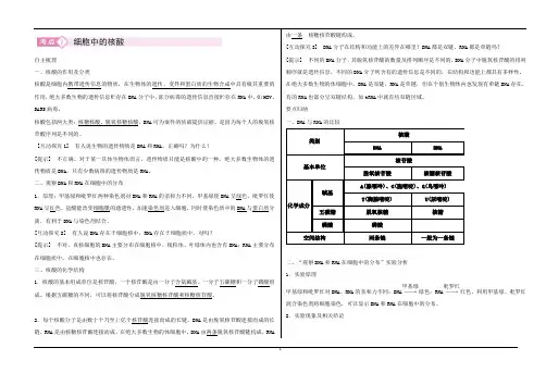 学案： 细胞中的核酸 糖类和脂质