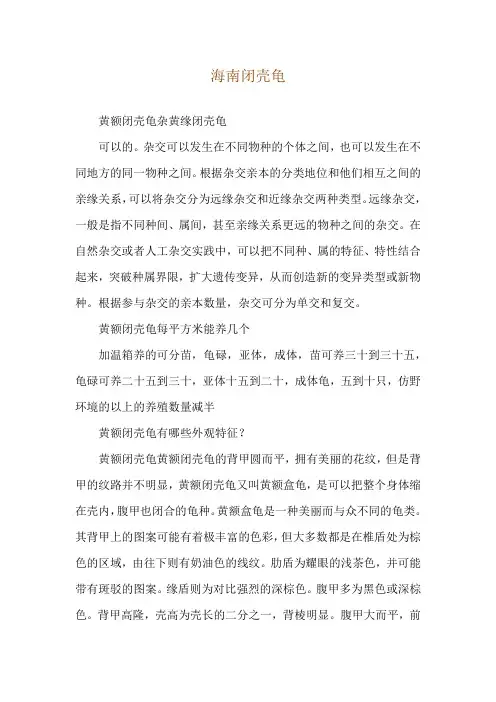 海南闭壳龟