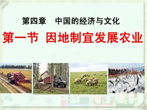 星球版八年级上第四章第一节因地制宜发展农业