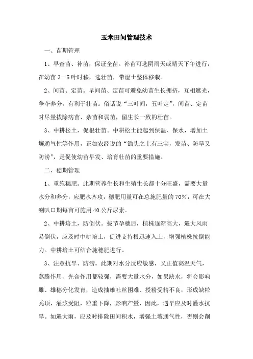 玉米田间管理技术 2