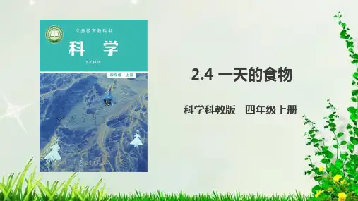 一天的食物课件教科版四年级上册2020科学