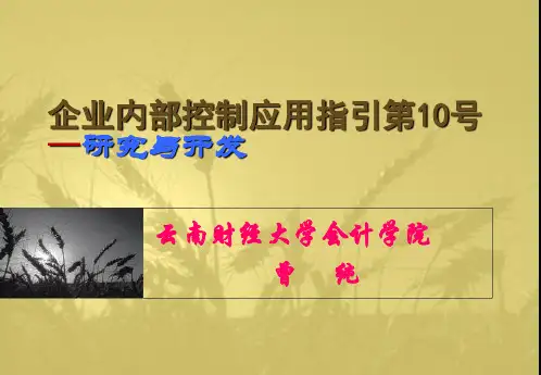 企业内部控制应用指引解读 第10号研究与开发