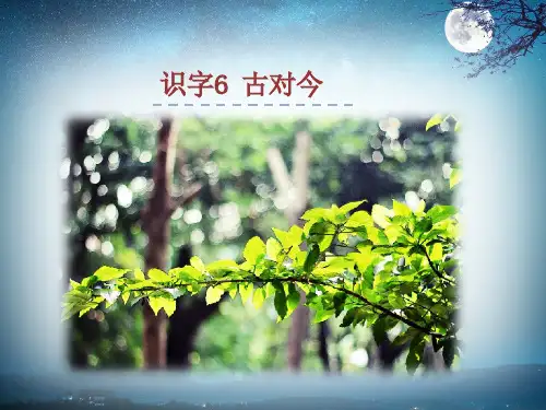 识字6《6、古对今》_