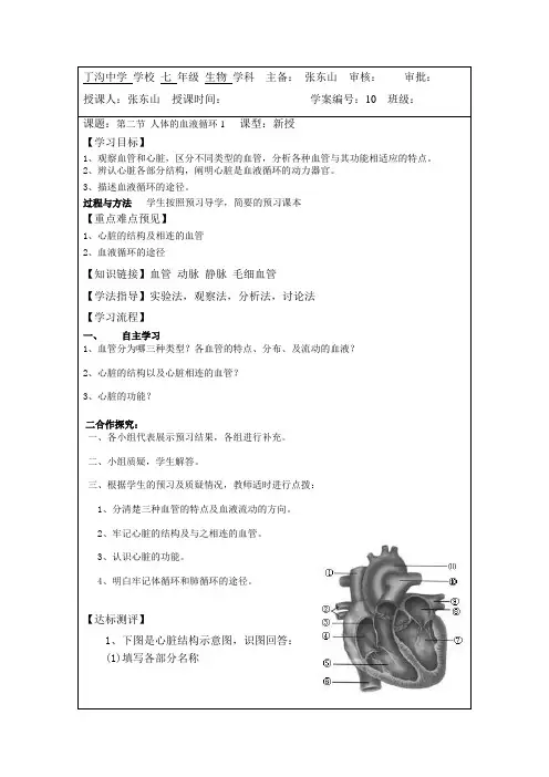 10.2 人体的血液循环1