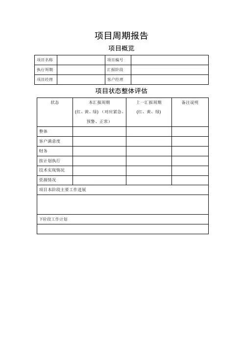 项目阶段性管理报告