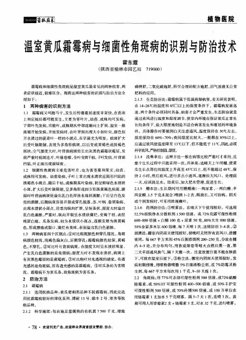 温室黄瓜霜霉病与细菌性角斑病的识别与防治技术