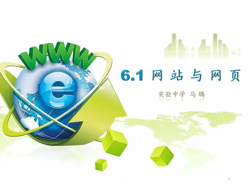 6.1网站与网页PPT课件