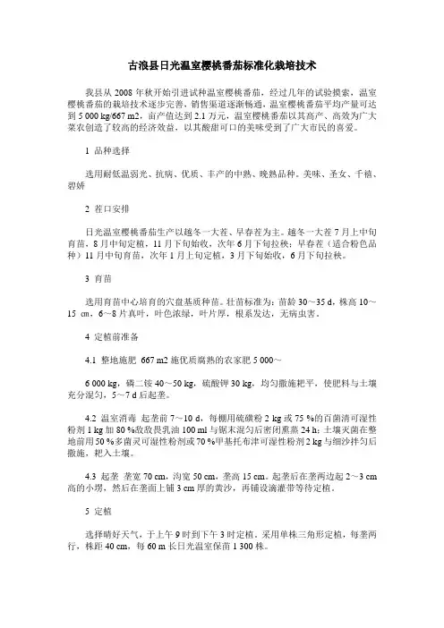 古浪县日光温室樱桃番茄标准化栽培技术