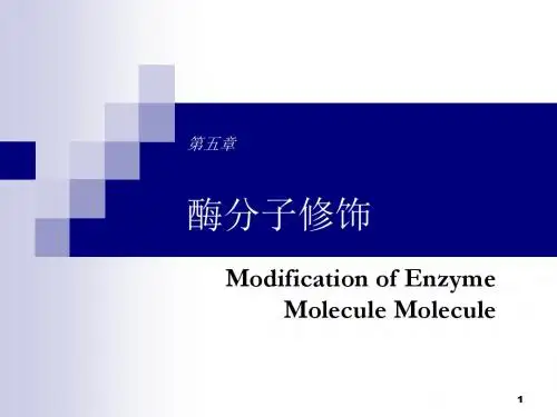 Chapter5_酶分子修饰