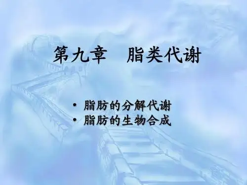 9脂类代谢