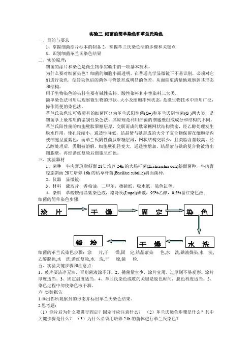 实验三 细菌的简单染色和革兰氏染色 2