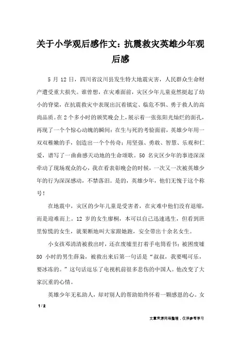 关于小学观后感作文：抗震救灾英雄少年观后感_作文专题