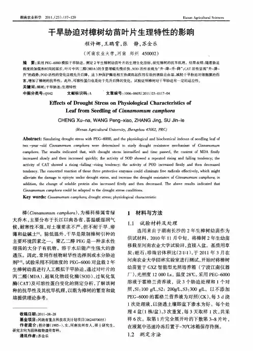 干旱胁迫对樟树幼苗叶片生理特性的影响