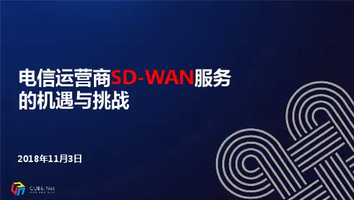 电信运营商SD-WAN服务的机遇与挑战