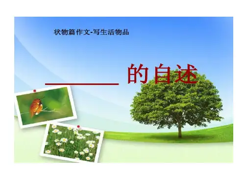 自述六年级作文教案70页PPT