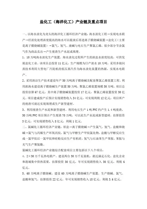盐化工(海洋化工)产业链及重点项目