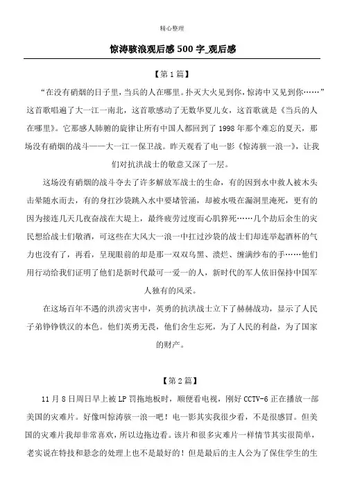 惊涛骇浪观后感500字_观后感