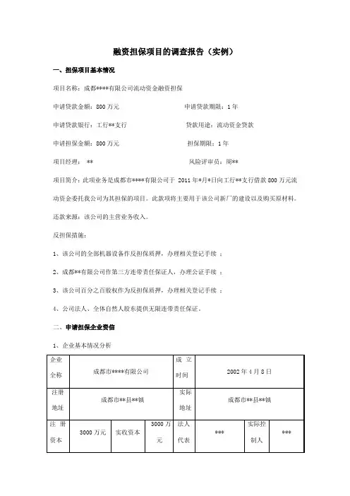 融资担保项目的调查报告(实例)