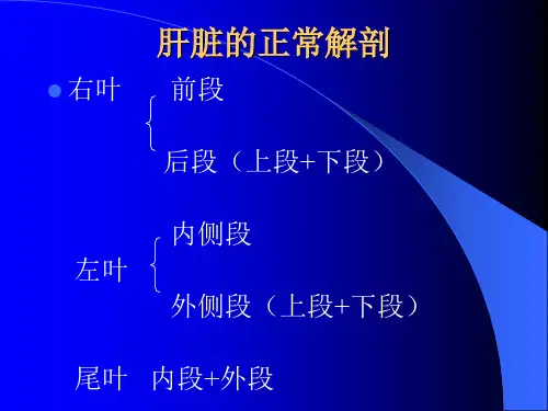 原发性肝癌的CT诊断23页PPT