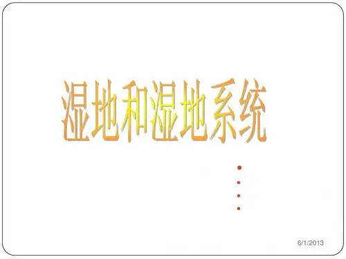 湿地和湿地生态系统