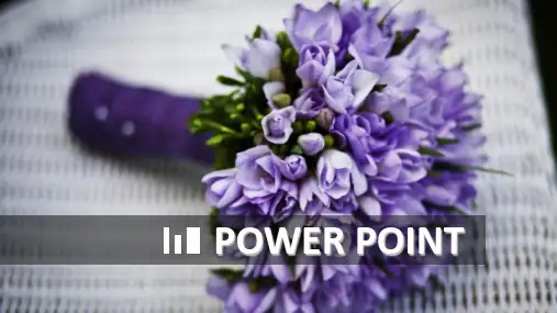 POWER POINT个人简历PPT模板素材