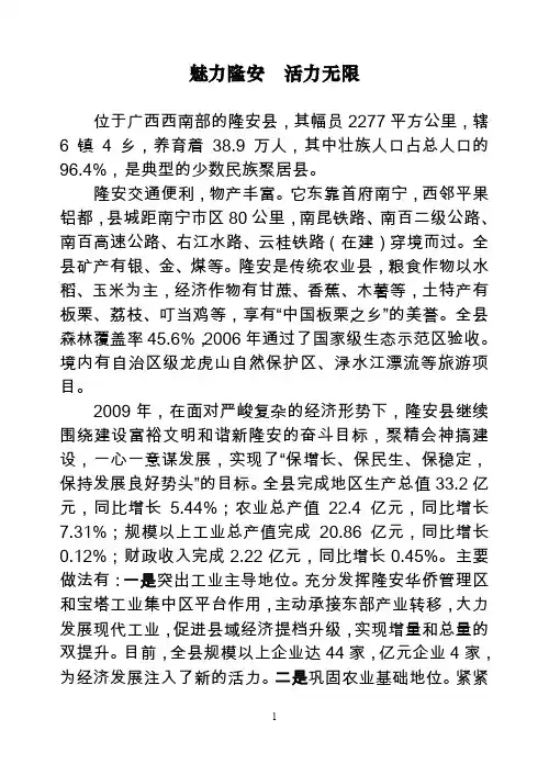 隆安简介