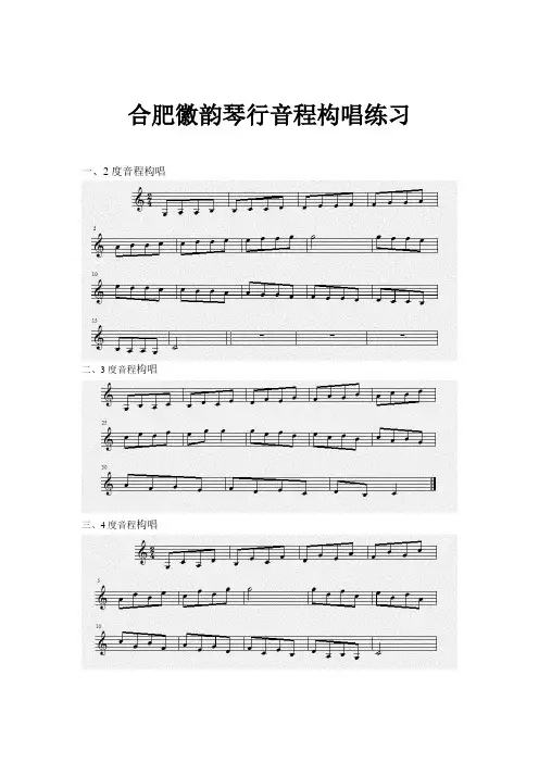 音程构唱练习合肥徽韵琴行
