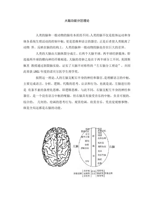 大脑功能分区理论