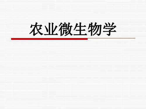 农业微生物学全套课件395p
