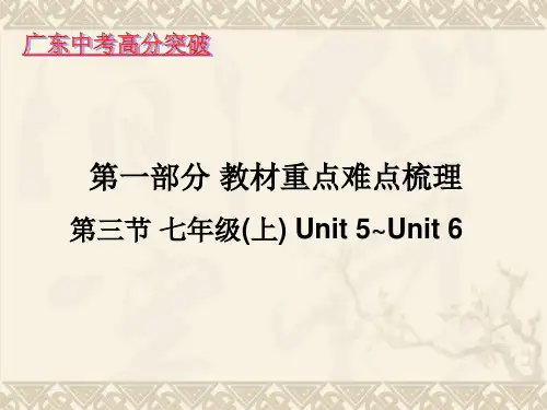 广州版英语中考复习七年级上册Unit5--Unit6