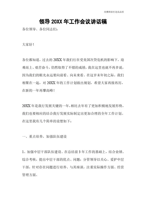 领导20XX年工作会议讲话稿