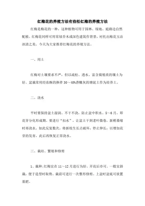 红梅花的养殖方法有些松红梅的养殖方法