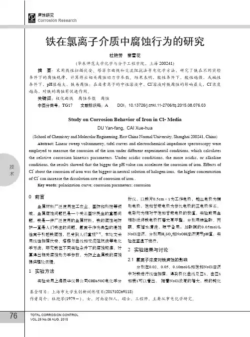 铁在氯离子介质中腐蚀行为的研究