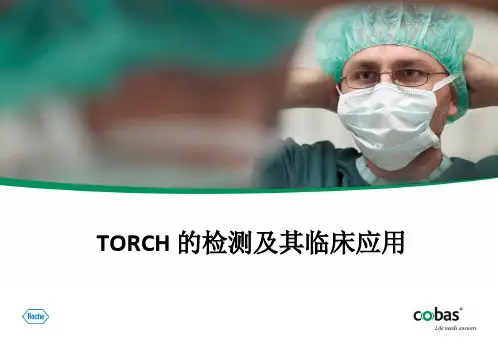 TORCH检测及其临床应用-林裕锋精品PPT课件