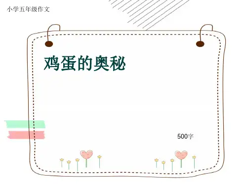 小学五年级作文《鸡蛋的奥秘》500字(共8页PPT)