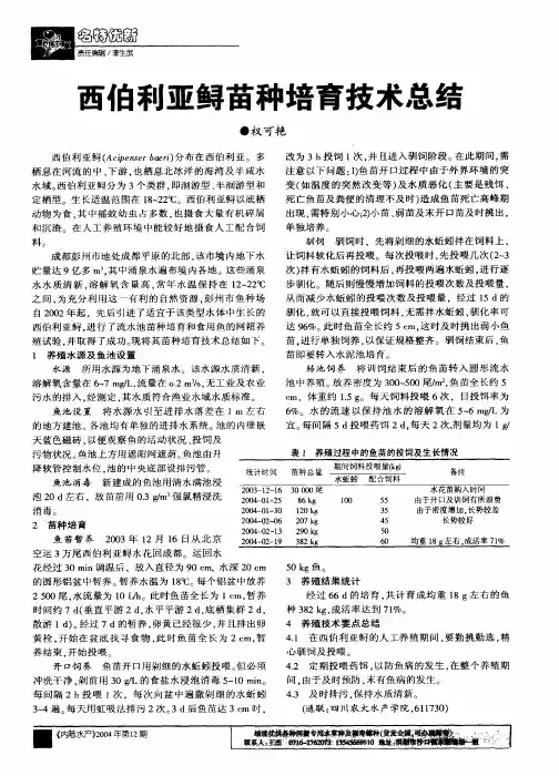 西伯利亚鲟苗种培育技术总结
