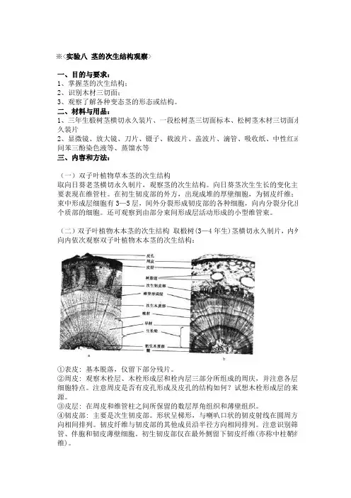 茎的次生结构观察(带图)