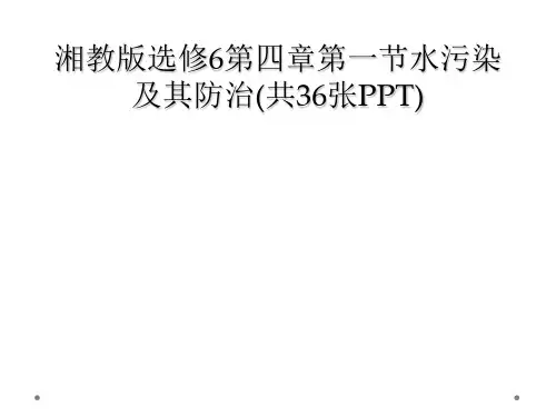 湘教版选修6第四章第一节水污染及其防治(共36张PPT)