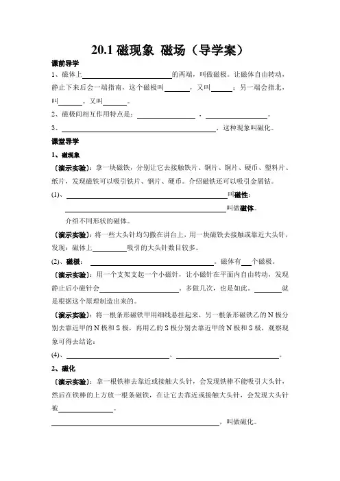 20.1磁现象 磁场(导学案)