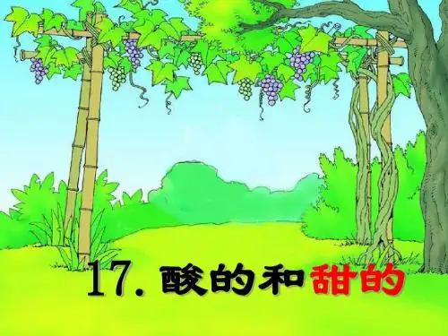 酸的和甜的ppt