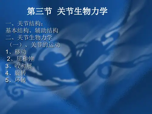 关节的生物力学