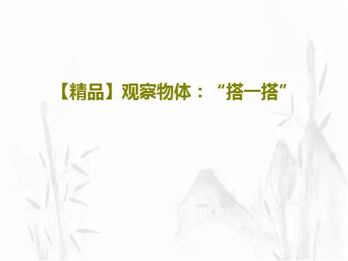 【精品】观察物体:“搭一搭”共15页
