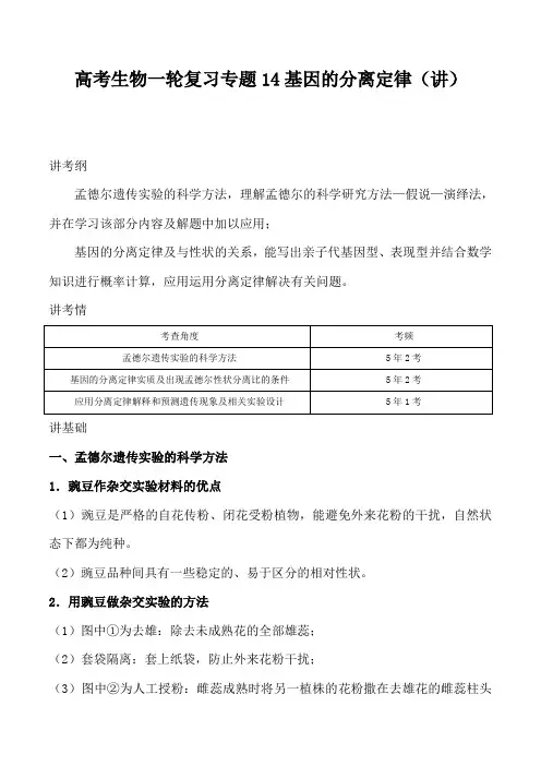 高考生物一轮复习专题14基因的分离定律(讲)