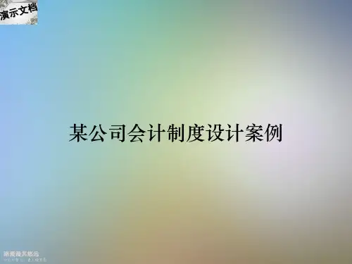 某公司会计制度设计案例