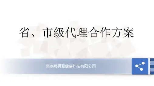 省 市级代理合作方案